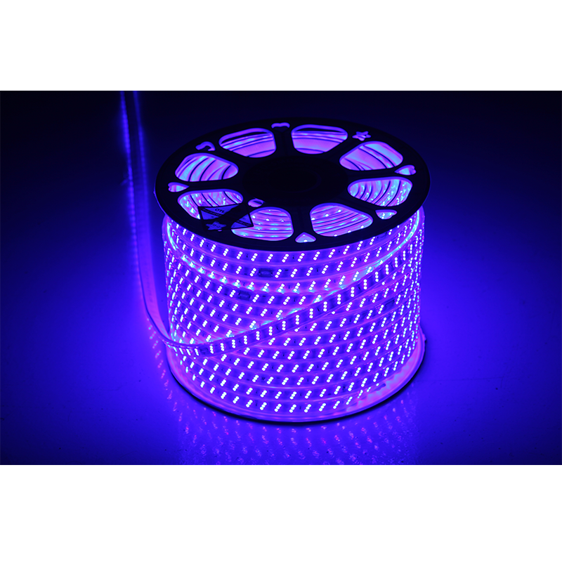 高壓防水220v燈帶 高壓防水220v燈帶