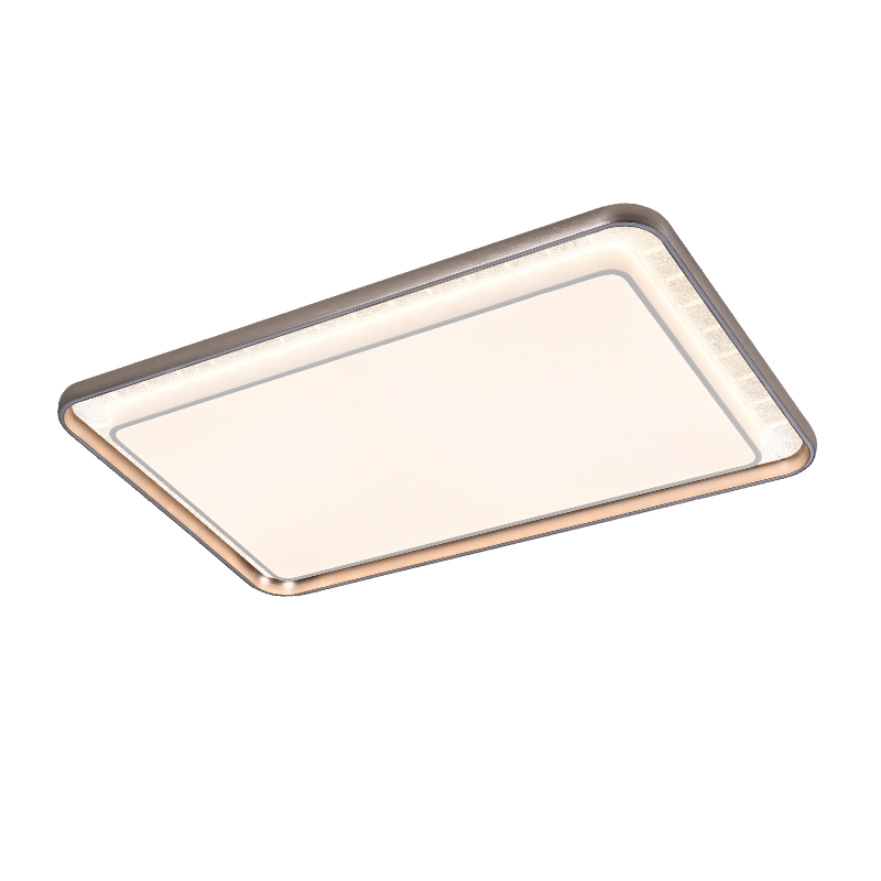 OTL/客廳燈/臥室燈/愛目光軒/系列