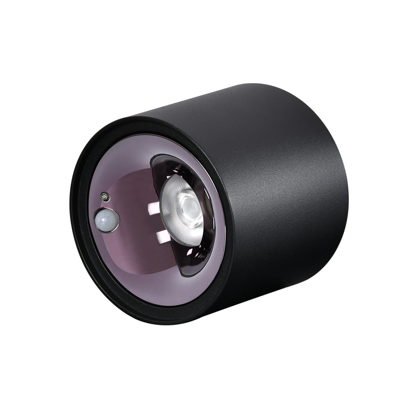 感應(yīng)射燈 感應(yīng)射燈