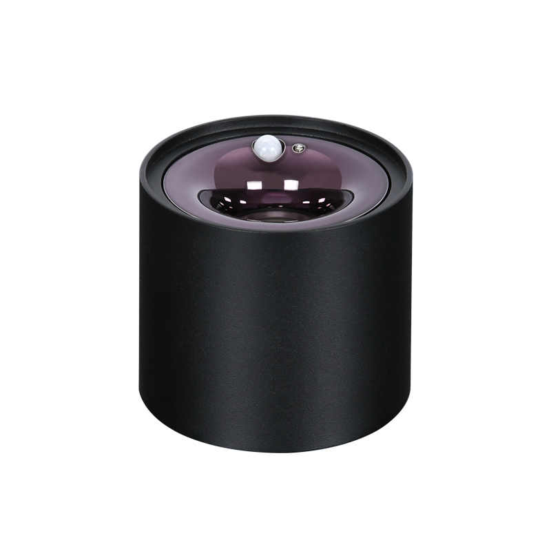 感應(yīng)射燈 感應(yīng)射燈