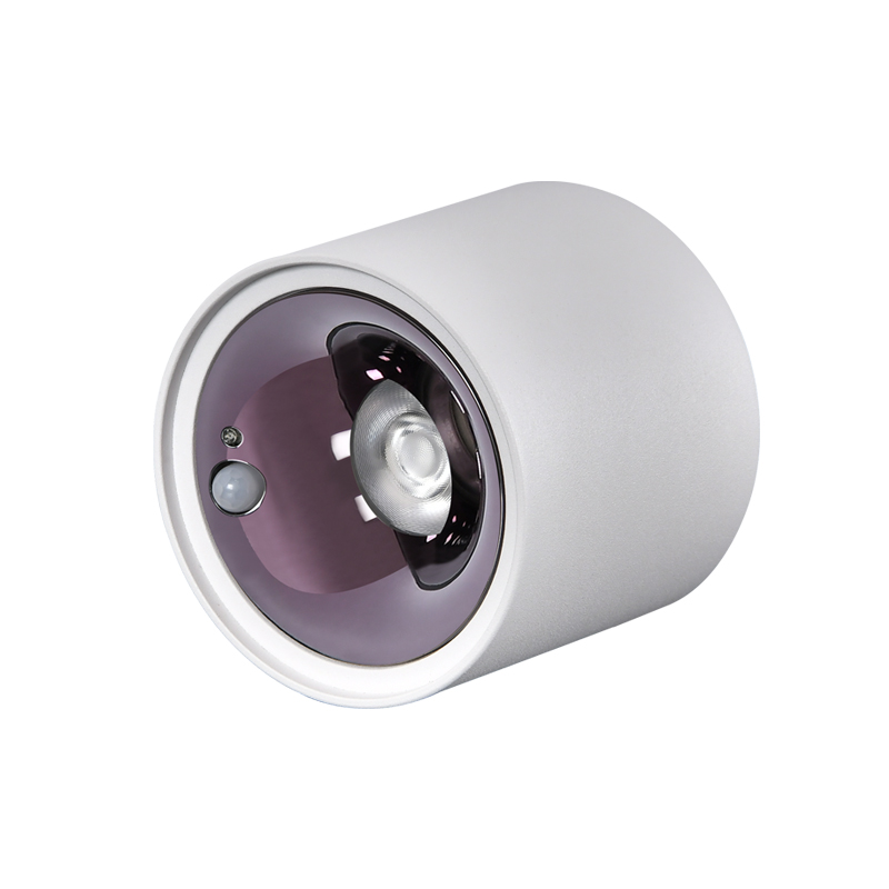 感應(yīng)射燈 感應(yīng)射燈