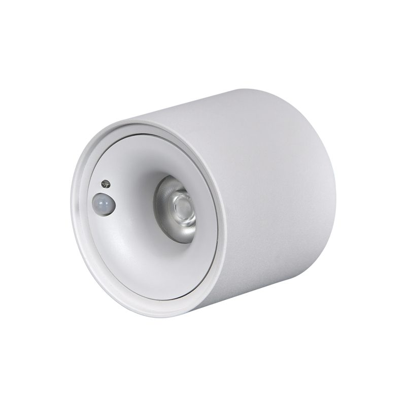 感應(yīng)射燈 感應(yīng)射燈