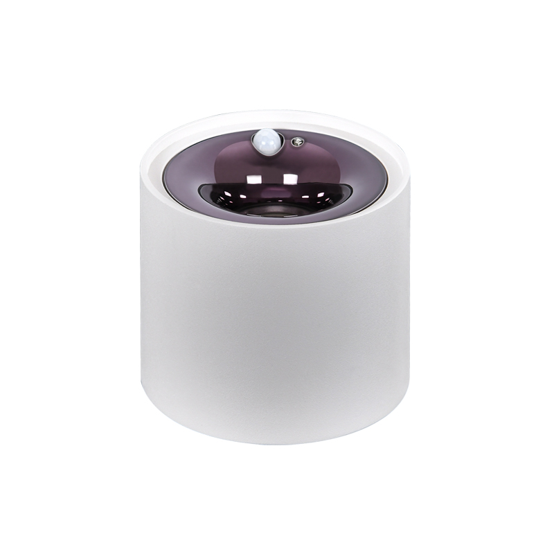 感應(yīng)射燈 感應(yīng)射燈