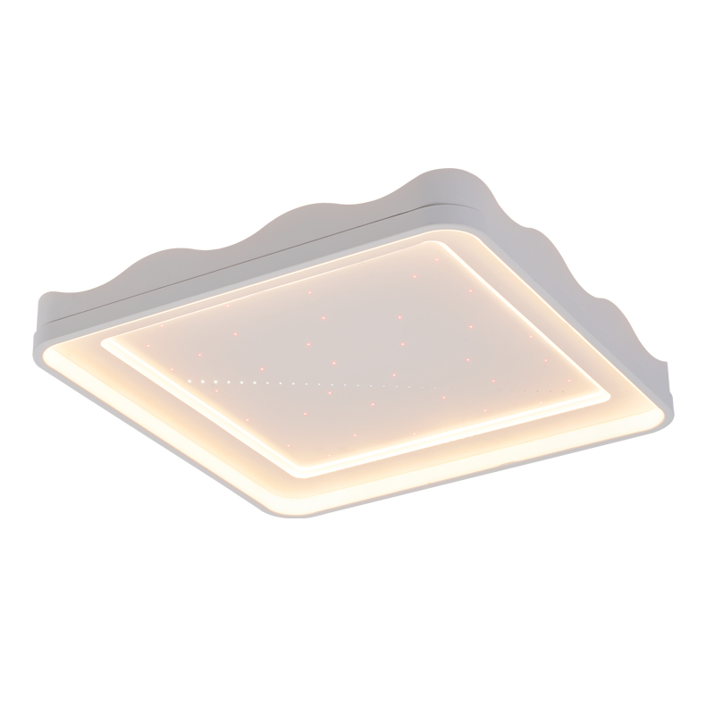 OTL/客廳燈/臥室燈/愛目流星雨系列