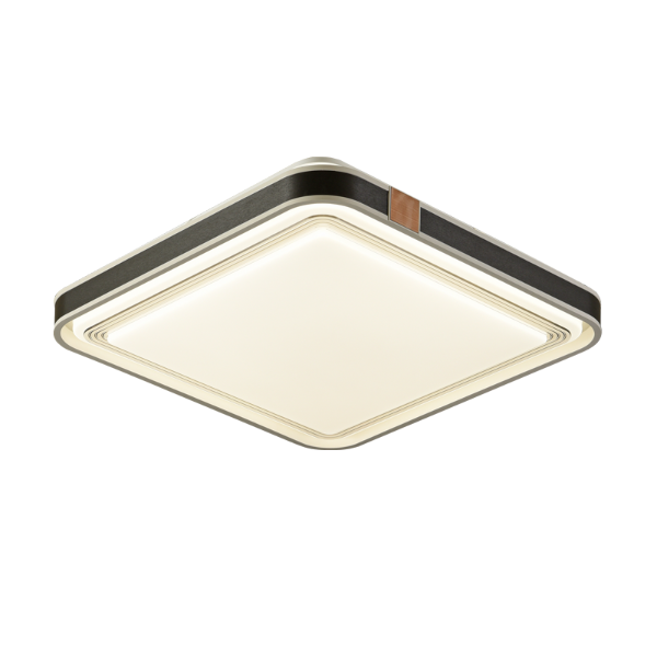 現(xiàn)代簡約吸頂燈 現(xiàn)代簡約吸頂燈