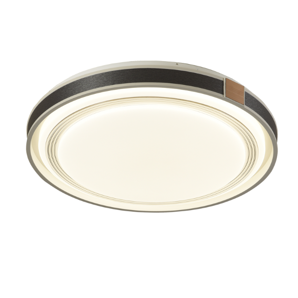 現(xiàn)代簡約吸頂燈 現(xiàn)代簡約吸頂燈